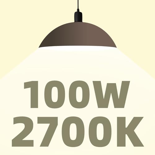 DEGNJJU A19 2700K Light Bulbs 60 Watt