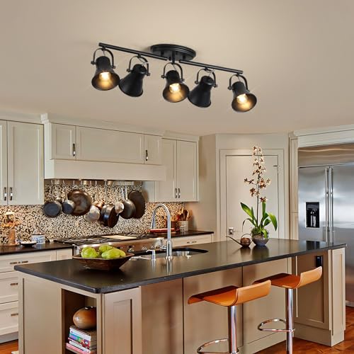 5 Light Track Lighting Kit (5-Light / Black)