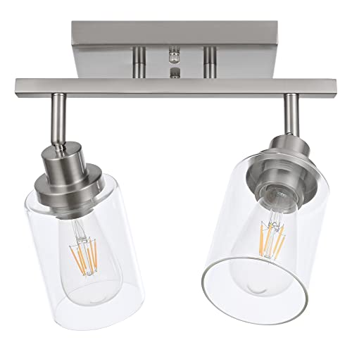 2 Light Rotatable Track Lighting Kit Spotlight Brushed Nickel (Brushed Nickel / 2-Light)