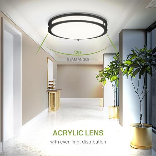 LED 16" Round Flush Mount Lighting (Black)