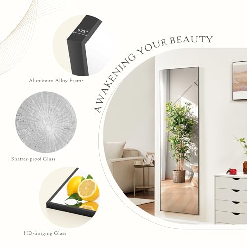 21"x64" Mirror Full Length (Black-rect / 64"L x 21"W)