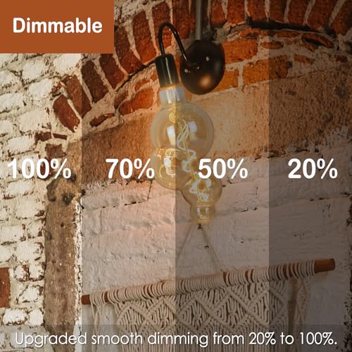 4W Filament 2700K Warm Lights (Oversized Special Bubble Lights(dimmable))