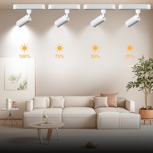 Mini Track Lighting Kit 3CCT 2PCS White Flexible Space Saving (White 3CCT / 2‑Light 0.6Ft Track Kit)