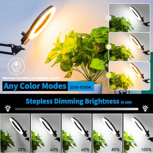 12X Magnifying Glass with Light and Stand (12X 11.8 INCH Base & Clamp)