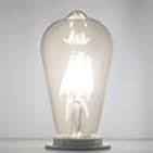 Vintage Edison Bulb 4W
