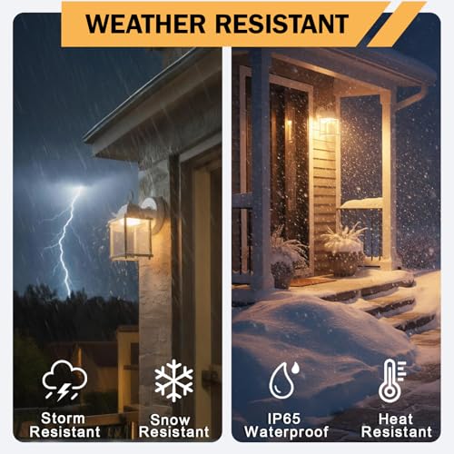 Outdoor Wall Light Fixture (3000K White / 2-pack)