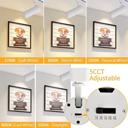 Track Lighting Heads 12W H (White - 6 Pack)
