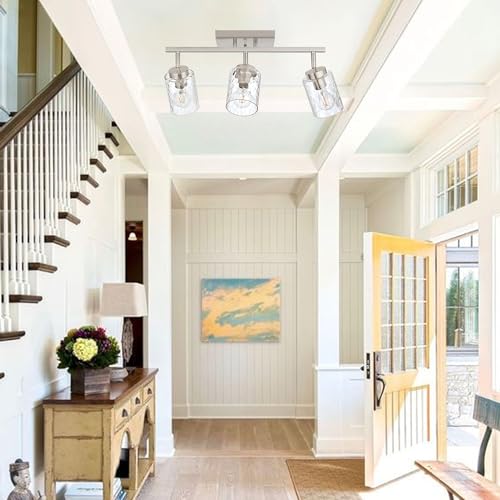 Track Lighting Fixtures Ceiling (Brushed Nickel / 3 Lights)