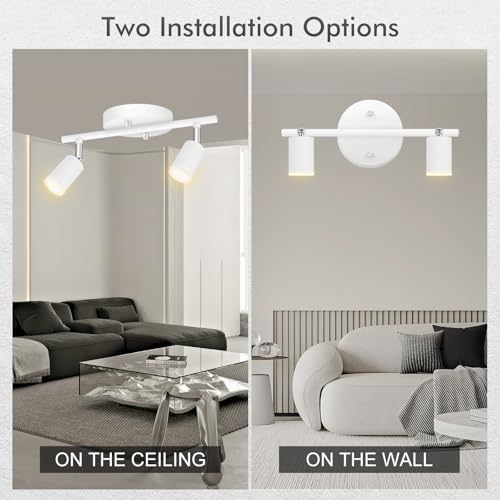 2 Light Track Lighting Fixtures Ceiling (2 light white)