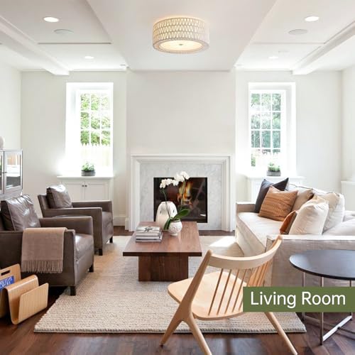 15.7" White Rattan Ceiling Light (White / 15.7")