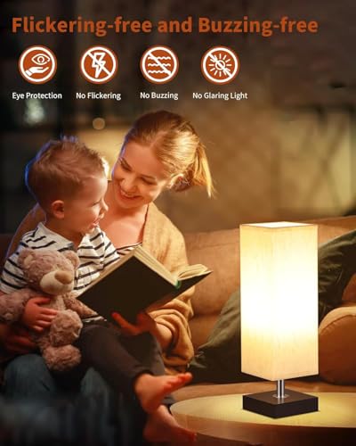 A19 LED Light Bulbs