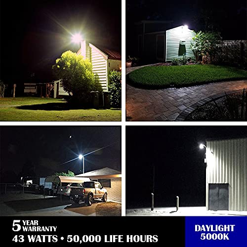 LuminaGuard 43W LED Barn Light with Arm