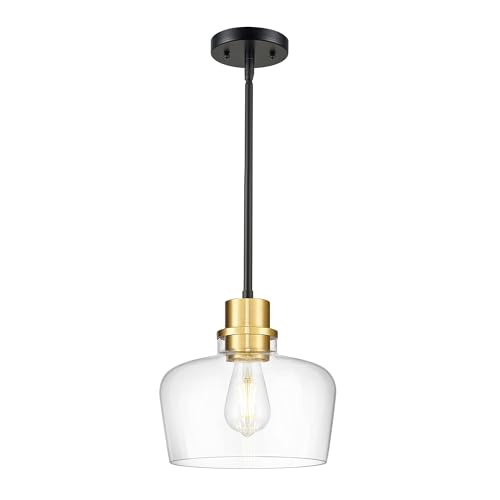 10 Inch Large Glass Pendant Lights Kitchen Island (Black Gold & Clear Glass / 10 Inch)