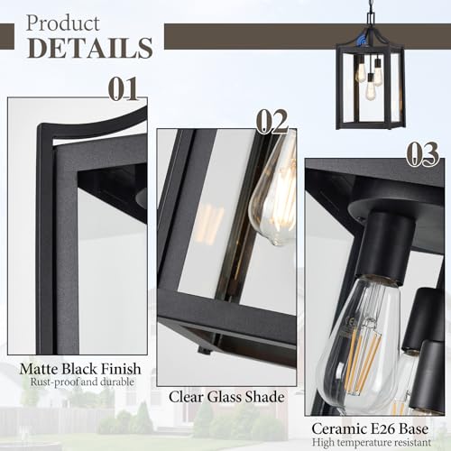 Outdoor Pendant Lights for Porch (Black / Large-Clear Glass)