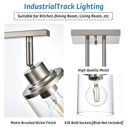 Track Lighting Fixtures 3 Light Directional Ceiling Lights with Adjustable Track Heads (Brushed Nickel / 3-Light)