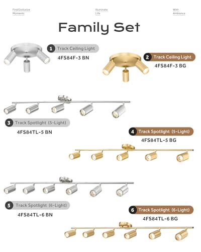 3 Light Track Lighting Fixtures Ceiling (Kaleidoscope, Brushed Gold / 16.1", 3-light)