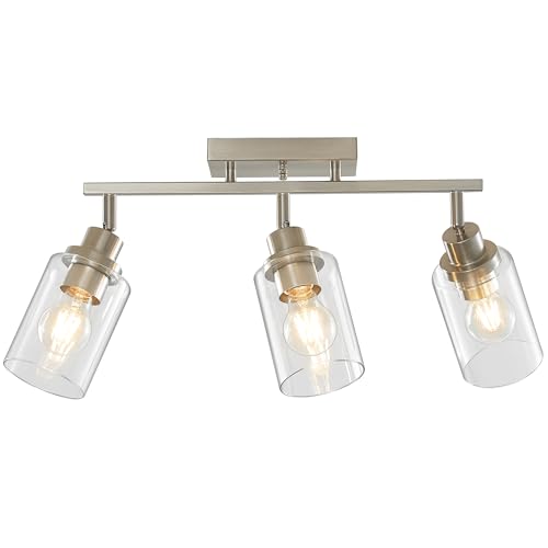 3 Light Brushed Nickel Track Lighting Kit with Clear Glass (Brushed Nickel / 3-Light)