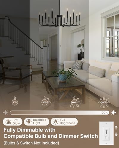 12 Light Black Chandelier (Matte Black / 12-Light)