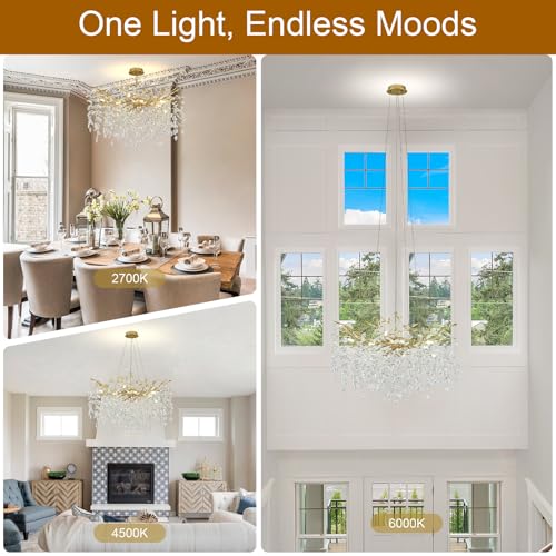 Modern Crystal Chandelier