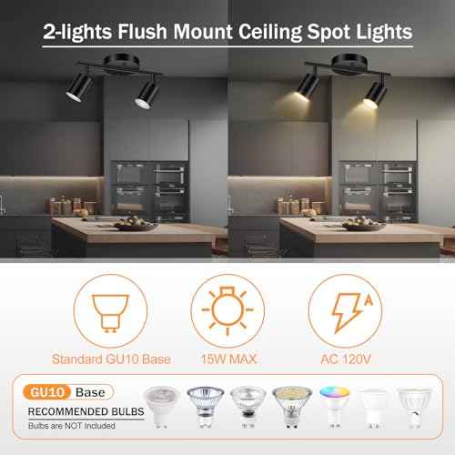Black Track Lighting Ceiling (Black / 11.8" 2 Light Track Light)