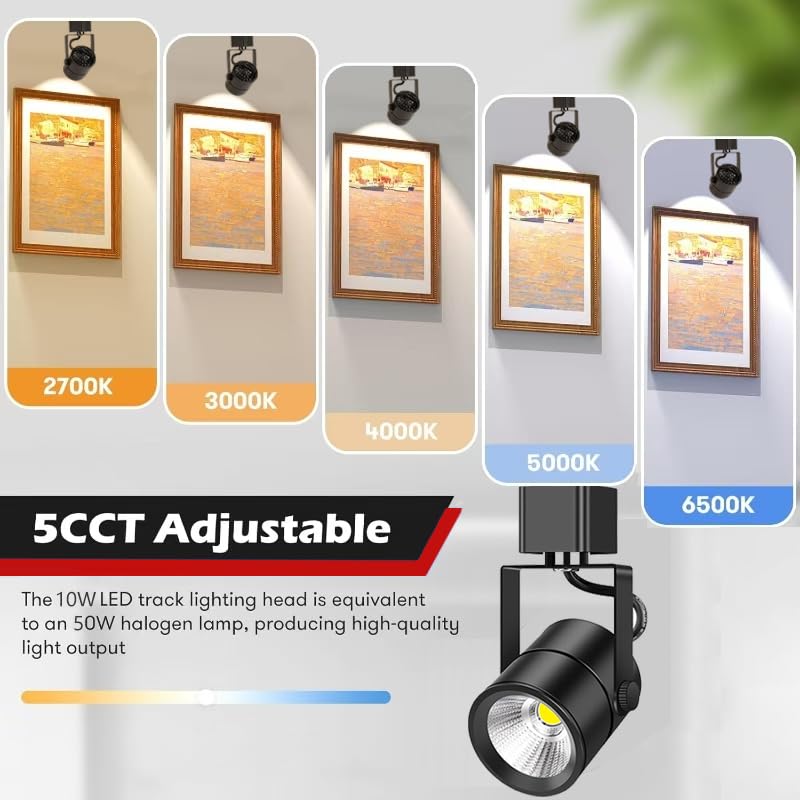 6 Light Track Lighting Kit with 6.6FT H Type Track Lighting Rail and Floating Canopy Connector (Black / 6 Lights)