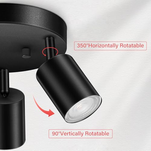 LED 3 Light Track Lighting Kit (Black)