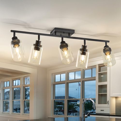 5 Light Kitchen Track Light Fixtures Ceiling Vanity Lights Black (Black / 5-Light)