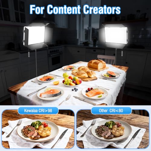 2 Pack LED Video Light Kit with 63'' Tripod Stand