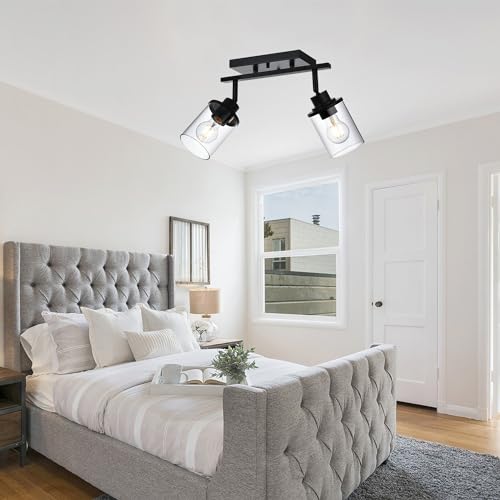2 Light Track Lighting Kit (Black / 2-Light)