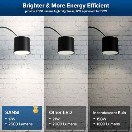 Dimmable LED Light Bulbs Large A19 (Daylight / 1 Count (Pack of 1))