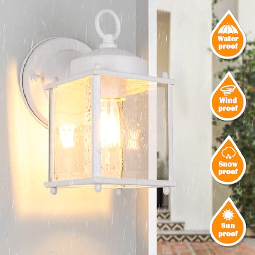 Outdoor Wall Lantern (White / 8.27 inch)