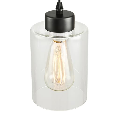 Modern Black Farmhouse Pendant Light with Glass Shade