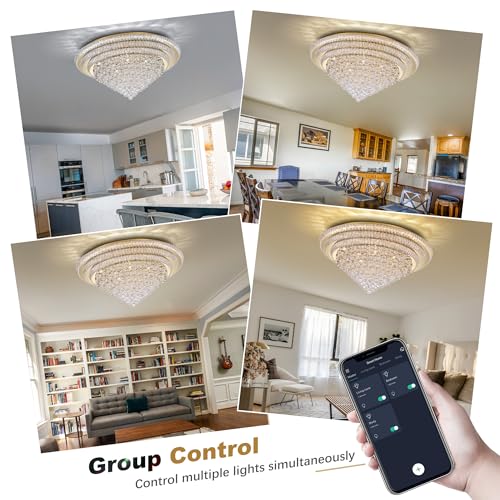 40" LED Crystal Raindrop Ceiling Light (Gold / 40 inches)