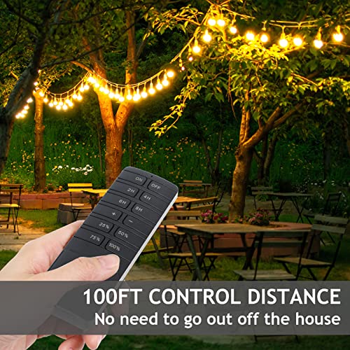 Outdoor dimmers for String Lights for Garden