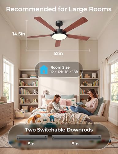 Smart Ceiling Fan with Lights