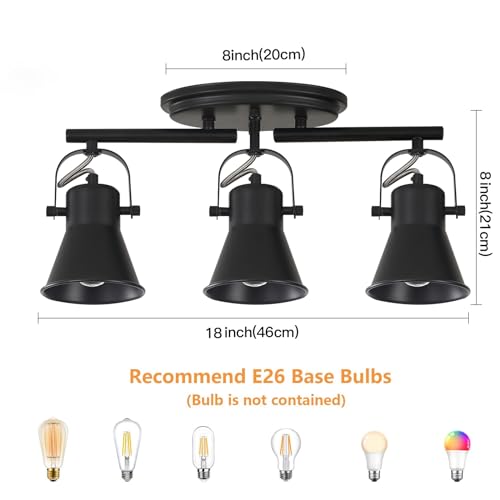 3 Light Track Lighting Kit (3-Light / Black)