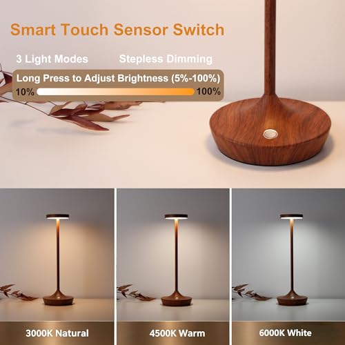 72Hrs Cordless Table Lamps