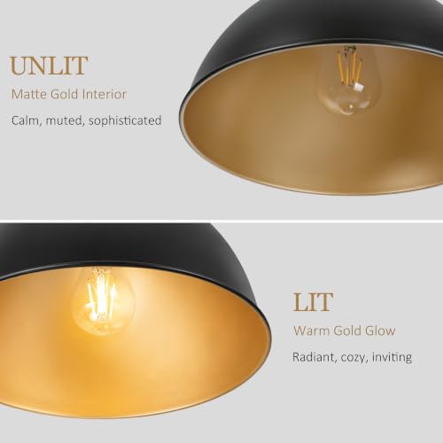 13 in Dome Pendant Light (Black and Gold / 13 Inch)