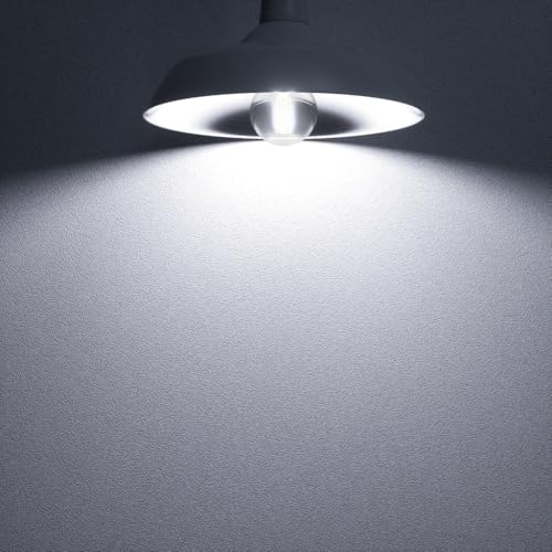G25 LED Light Bulbs