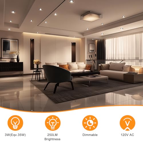 2 Inch LED Recessed Lighting (3000k (Warm White) / 4 Pack (Black))