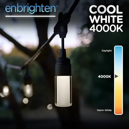 Café Lights Enbrighten Modern Café Lights White Only Twist