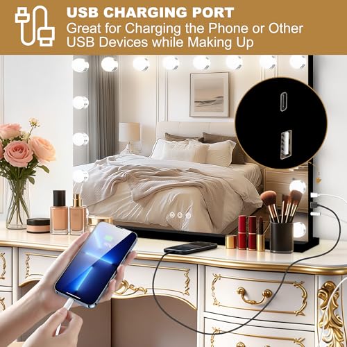 Vanity Mirror with Lights (Black / 26"L x 20"W)