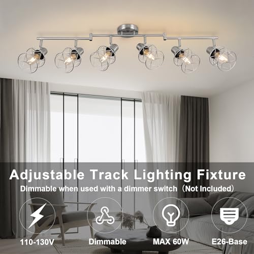 Track Lighting Fixtures (Brushed Nickel / 6-Light-Cage)