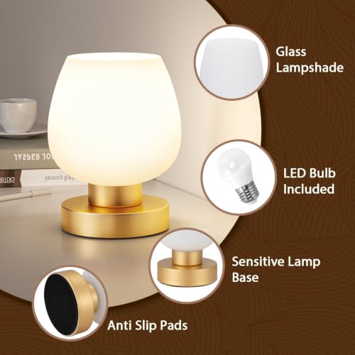 Small Touch Table Lamp for Nightstand (Gold)