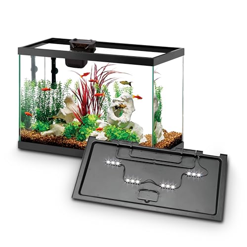 Aquarium Starter Kit with Smart Clean Filtration and LED Lighting (Black / 20 Gallon)