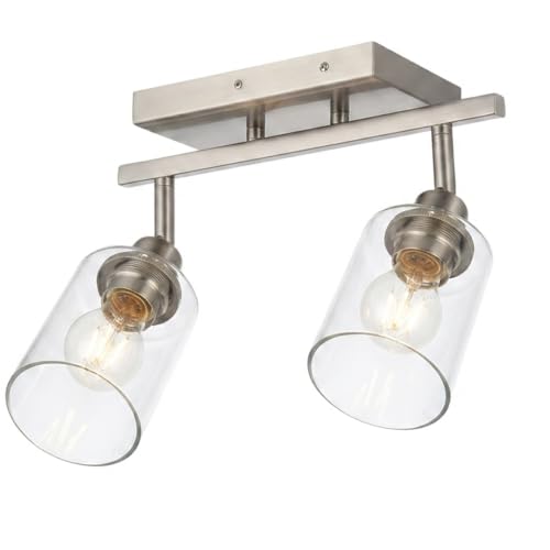 2 Light Track Lighting Fixtures Ceiling (Brushed Nickel / 2 Lights)