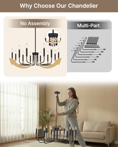 12 Light Black Chandelier (Matte Black / 12-Light)
