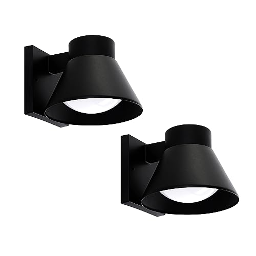 2 Pack LED Outdoor Wall Light Fixtures (Black)
