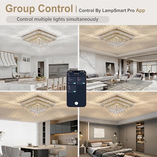 Crystal Ceiling Light