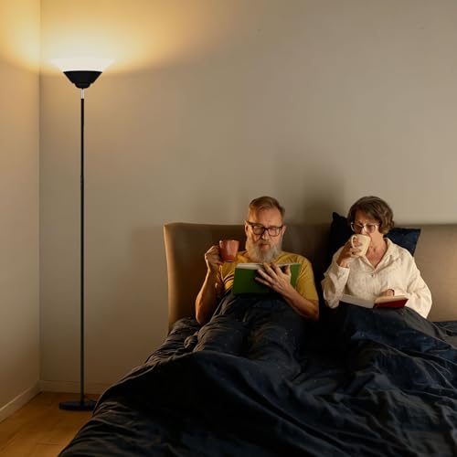 Floor Lamps for Living Room (Black)